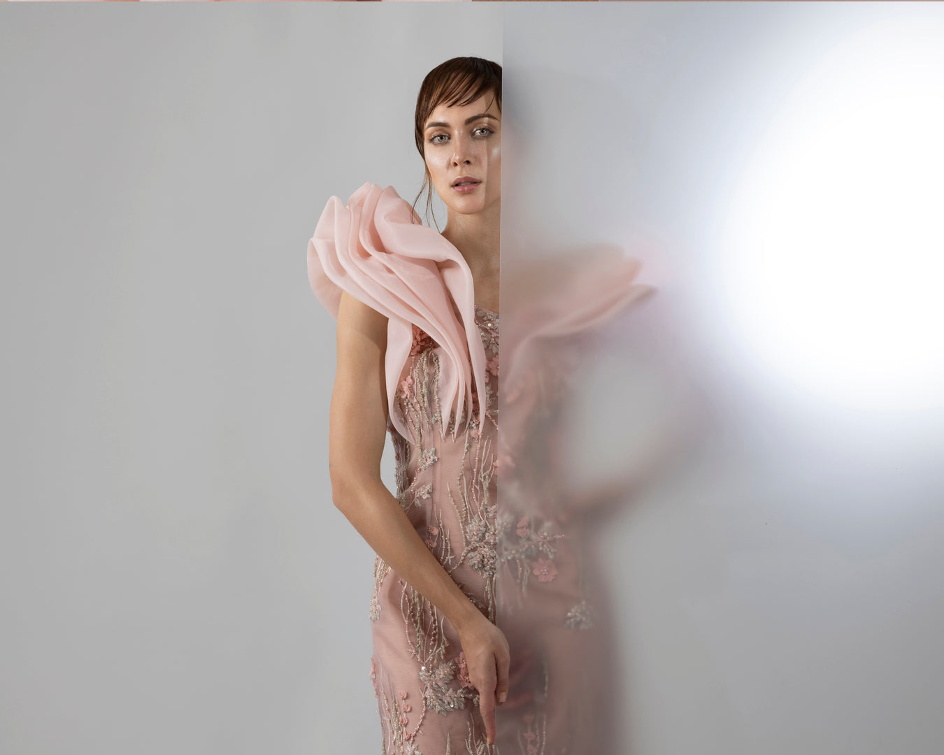 Rose's Embroidered Power Dress