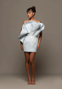 Frozen Dream Jacquard Dress