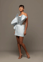 Frozen Dream Jacquard Dress