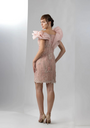 Rose's Embroidered Power Dress
