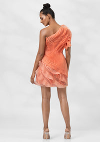 Clementine Structured Bodice With Sheer Skirt